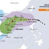 Bão số 7 di chuyển theo hướng Tây, tốc độ khoảng 10-15km mỗi giờ