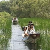 Du khách tham quan rừng tràm Trà Sư, huyện Tịnh Biên, An Giang. (Ảnh: Nhật Anh/TTXVN)