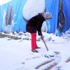 Người tị nạn Syria dọn tuyết tại trại ở gần Liban (Nguồn: AFP)