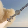 Đài Loan tiếp nhận lô tên lửa Harpoon đầu tiên từ Mỹ