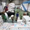 Gạo dự trữ của Philippines tháng Một giảm gần 15%