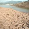 Báo động nguy cơ khan hiếm nước ở Cận Đông, Bắc Phi