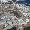Nhật rà ung thư tuyến giáp với công nhân Fukushima 1