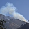 Đắk Nông: Đã khống chế được đám cháy ở rừng phòng hộ