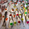 Hàn Quốc-Nga đạt thỏa thuận hạn ngạch đánh bắt cá