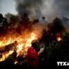 Cháy rừng lan rộng ở Mỹ, hơn 20.000 gia đình phải sơ tán