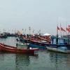 Ngư dân Quảng Ngãi bám biển, bảo vệ biển đảo quê hương