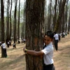 Hơn 2.000 người dân Nepal ôm cây bảo vệ môi trường