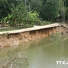 Đi bắt hàu, bốn học sinh Hà Tĩnh bị đuối nước ở sông Đào