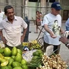 Cuba tiếp tục khuyến khích phát triển kinh tế tư nhân