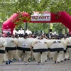 [Photo] Mặc trang phục sumo chạy bộ để quyên tiền từ thiện