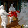 Philippines siết chặt nhập khẩu động vật để ngăn dịch Ebola