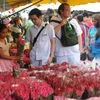2,4 triệu du khách ngoại đến Philippines trong nửa đầu năm