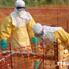 Thêm một bác sỹ Mỹ làm việc ở Liberia nhiễm virus Ebola