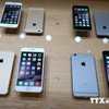 Hà Nội tạm giữ lô hàng iPhone 6 trị giá trên 500 triệu đồng