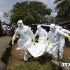 WHO: Số ca nhiễm virus Ebola đã vượt quá 10.000 người