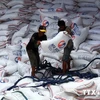 Philippines kêu gọi nhà hàng giảm nửa lượng gạo trong thực đơn