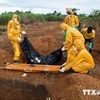 EU tăng cường viện trợ cho các nước Tây Phi chống dịch Ebola