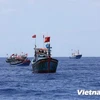 Tích cực tìm ngư dân mất tích trong vụ chìm ghe ở Quảng Ngãi