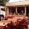 Bắt quả tang vụ vận chuyển trái phép gỗ quý hiếm ở Quảng Nam