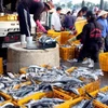 Mẻ cá đầu năm với sản lượng gần 40 tấn về tới đất liền Cà Mau