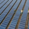 Tấm thu năng lượng Mặt Trời Trung Quốc “chiếm lĩnh” Ấn Độ