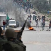 Quân đội Israel đã bắt giữ 350 người Palestine trong tháng 1