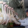 Quảng Nam xử lý nghiêm việc bơm nước, hóa chất vào gia súc