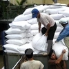 Gia Lai cấp gần 380.000 tấn gạo cứu đói cho các hộ nghèo dịp Tết