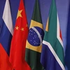 Hội nghị bộ trưởng BRICS kêu gọi hợp tác phát triển xã hội