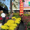 Tràn ngập những sắc màu rực rỡ ngày Xuân ở chợ hoa Cố đô Huế