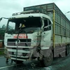Lâm Đồng: Xe chở gỗ lậu gây tai nạn khiến 2 người thương vong