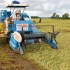 Hỗ trợ khai hoang, cải tạo đất trồng lúa 10 triệu đồng mỗi hécta