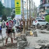 Hà Nội đã báo cáo Thanh tra Chính phủ về kế hoạch thay cây