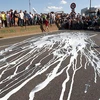 Nông dân Pháp đổ sữa xuống đường ở Lyon. (Nguồn: AFP)
