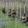 Binh sỹ Ấn Độ đi tuần tra dọc đường biên giới với Pakistan. (Nguồn: Reuters)
