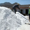 Khánh Hòa tồn đọng 40.000 tấn muối do giá muối giảm mạnh 