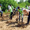 Khởi động chương trình tình nguyện “Hành động cho Hành tinh xanh”