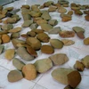 Công cụ lao động bằng đá của người tiền sử ở Hà Giang,. Ảnh minh họa. (Nguồn: TTXVN)