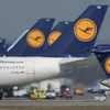 Máy bay của hãng Lufthansa. (Nguồn: AFP)