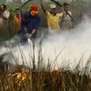 Nhân viên cứu hỏa Indonesia nỗ lực dập các đám cháy rừng tại Banyuasin, Nam Sumatra ngày 7/10. (Nguồn: AFP/TTXVN)