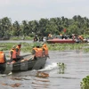 Ảnh minh họa. (Ảnh: Vũ Hào/TTXVN)