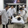 Nạn nhân trong vụ tai nạn giao thông trên tuyến cao tốc Nội Bài- Lào Cai được chuyển về điều trị tại bệnh viện Đa khoa tỉnh Vĩnh Phúc. (Ảnh: Nguyễn Trọng Lịch/Vietnam+)