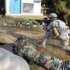Binh sỹ Ấn Độ trong một cuộc tập trận chung với binh sỹ Mỹ. Ảnh minh họa. (Nguồn: AFP/TTXVN)