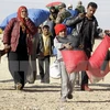 Người tị nạn Syria. (Nguồn: AFP/TTXVN)