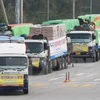 Các xe hàng viện trợ nhân đạo của Hàn Quốc dành cho Triều Tiên. (Ảnh: YONHAP/TTXVN)