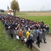 Cảnh sát Slovenia áp giải khoảng 1000 người di cư từ khu vực biên giới với Croatia tới Dobova (Slovenia) ngày 22/10. (Nguồn: AFP/TTXVN) 