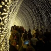 Khách tham quan chiêm ngưỡng đường hầm lung linh ánh sáng tại công viên Bách thảo Hoàng gia trong lễ hội. (Nguồn: AFP/TTXVN)
