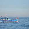 Các tàu cá ở đảo Lý Sơn đánh bắt xa bờ chủ yếu ở ngư trường Hoàng Sa và Trường Sa. (Ảnh: Thùy Giang/Vietnam+)