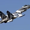 Máy bay tiêm kích Su-27 của không quân Nga. (Ảnh: aviationnews.eu)